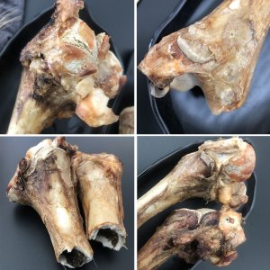 臺州市萌一派寵物用品有限公司