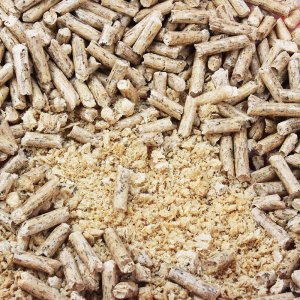 貝特爾綠茶貓砂