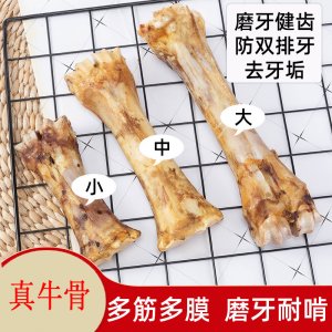 寧德市騰寵寵物用品有限公司