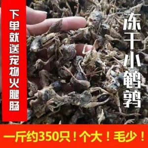 莆田市紳挪貿(mào)易有限公司