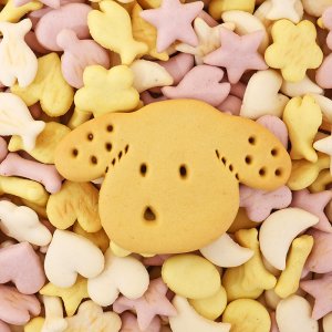 大連士申達科技有限公司