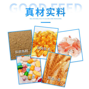 廣州板板兒水族用品有限公司