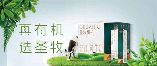 圣牧有機(jī)純牛奶2.jpg