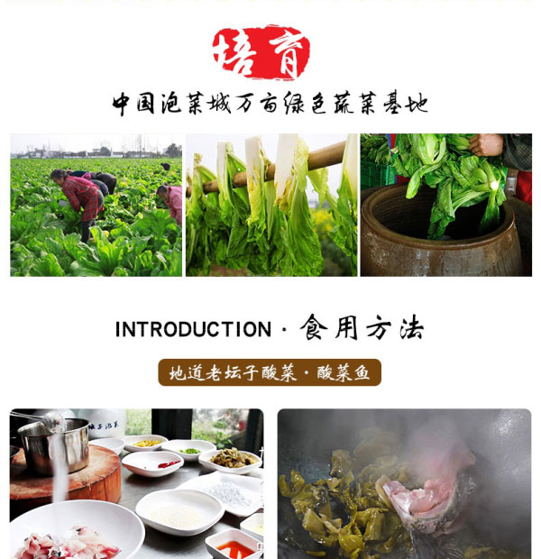 老壇子老酸菜免洗免切簡(jiǎn)介_06.jpg