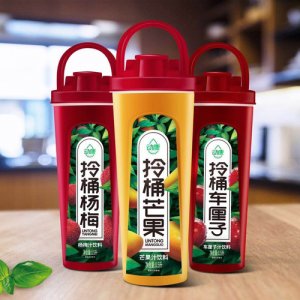 動(dòng)康芒果汁飲料