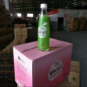 冰樂凍蘋果味蘇打水