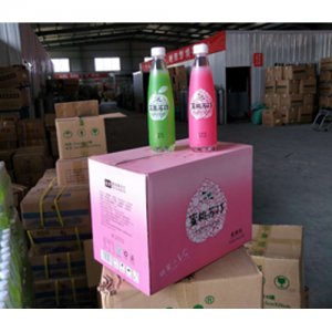 冰樂凍水果味蘇打水