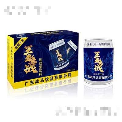 戰(zhàn)馬能量型維生素飲料240mlx24箱裝