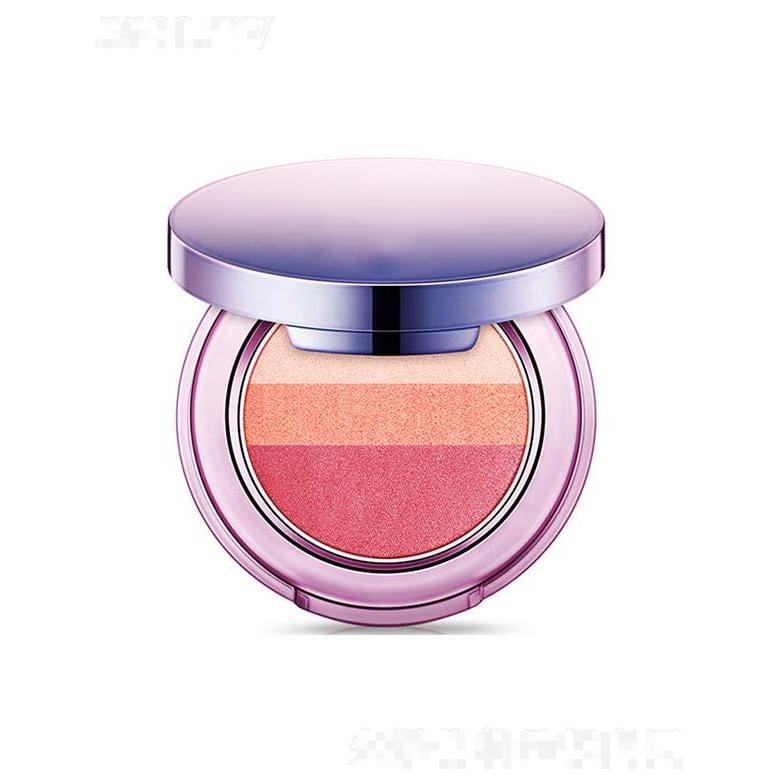 廣州迪麗化妝品有限公司