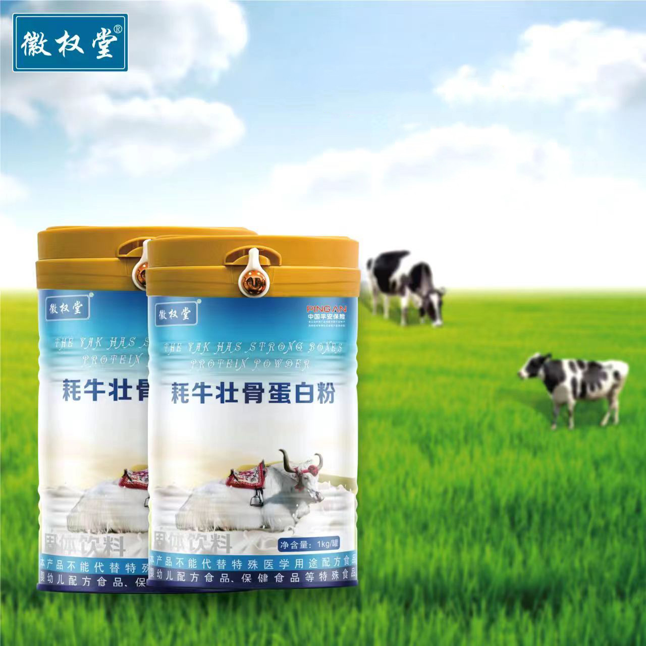 成人中老年兒童牦牛蛋白質(zhì)粉復合蛋白固體飲料羊奶駝奶1kg蛋白粉OEM代加工