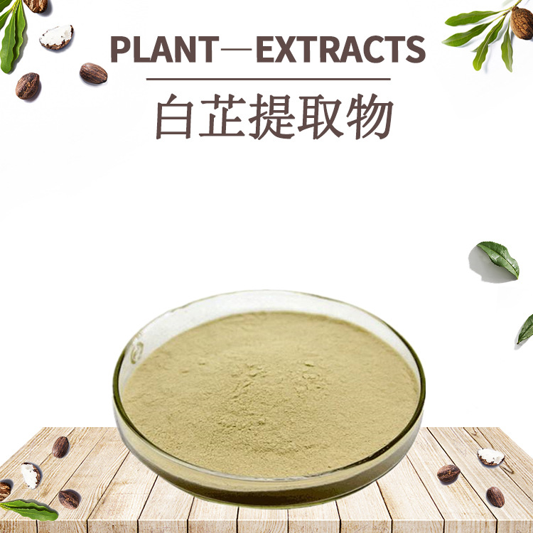 白芷提取物OEM代加工