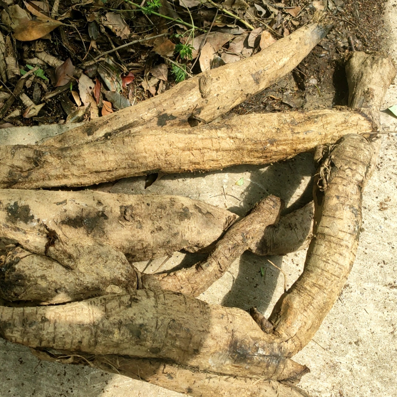 湖北楚膠娘食品有限公司