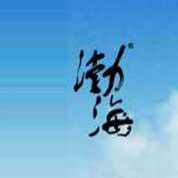 山東渤海實(shí)業(yè)股份有限公司